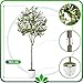 PASCH® Künstlicher Olivenbaum (150cm) - Stilvoll & Naturgetreu | Künstliche Pflanzen groß | Kunstpflanzen groß: Olive Tree | Olivenbaum künstlich groß für EIN mediterranes Ambiente
