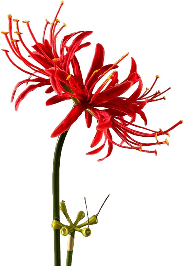 4 Stems 26.38'' Artificial Spider Lily Flowers Lycoris Radiata for Home Garden Decoration Red