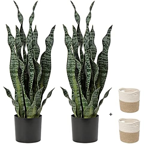 DILATATA 2 Set Large Fake Snake Plant Black Coral 25 Inch Sansevieria Plant Artificial Snake Plants in Pots with Woven Basket Faux Mother in Law Tongue Plant - Indoor Outdoor Decor Housewarming Gift… Cover