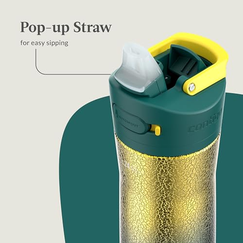 Image of Contigo Ashland Chill Stainless Steel Water Bottle with Leakproof Lid & Straw, Water Bottle with Handle Keeps Drinks Cold for 24hrs & Hot for 6hrs, Great for Travel, School, Work, & More, 24oz