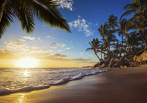 decomonkey | Papier Peint Adhésif Plage Mer 343x256 cm Mural Décoration Feuille Autocollante Stickers XXL Poster Tableaux Muraux Tapisserie Photo Trompe l'oeil Coucher du Soleil Nature