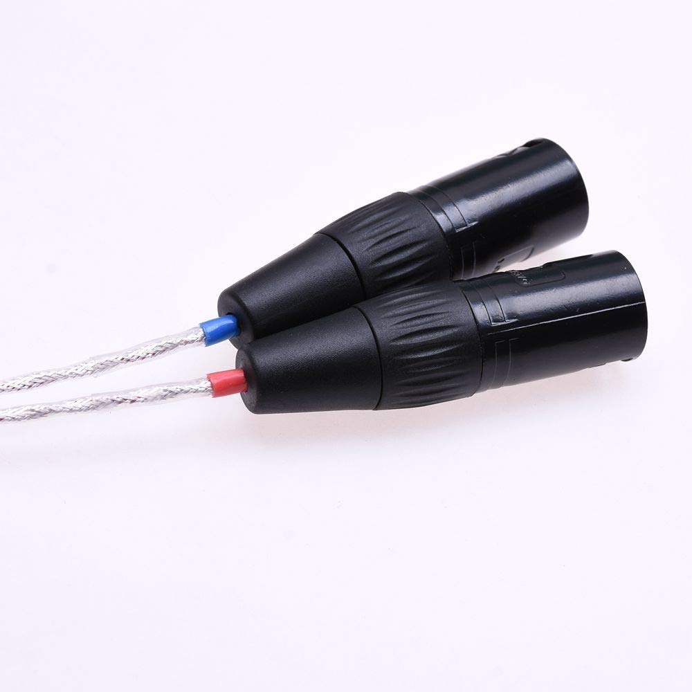 GAGACOCC 2.5mm TRRS Male to 3Pin XLR Balanced Audio Adapter Silver Plated Shield Cable for Astell&Kern SP1000 AK100II AK120II AK240 AK380 AK320 DP-X1(1meter (3Ft), 3Pin XLR Male)