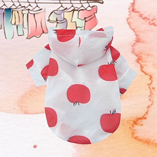 Moletom com capuz Legendog Summer Dog com estampa de cachorro e frutas, proteção solar, roupas para