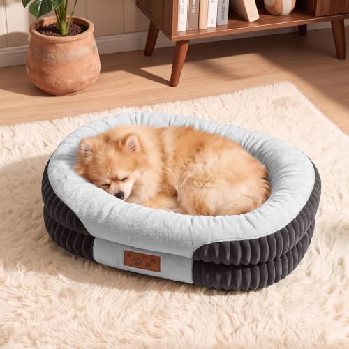 Orthopädisches Hundebett mit 360° Rand für Kleine Hunde, Waschbar 76x51cm | Memory Foam Hundekorb Flauschig & Ergonomisch, Robustes Weiches Hundesofa zum Schlafen, 3D Eierschaum Hundebett Indoor