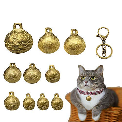 Top 10 Best Cat Collar For Birds in June 2023