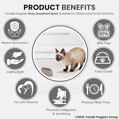 Image of Foodie Puppies Cat Food and Water Feeder - 150ml (Grey Quadrant, Pack of 2) | Durable, Anti Vomiting, Healthy Cat Bowl for Persian Cat Prevent Tipping Over | Elevated Feeder for Cats and Small Dogs
