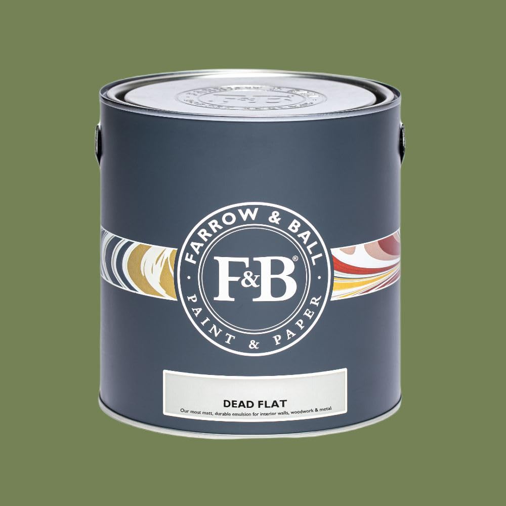Paint Stop Mixed Colour Farrow & Ball Dead Flat 199 Sap Green 2.5L