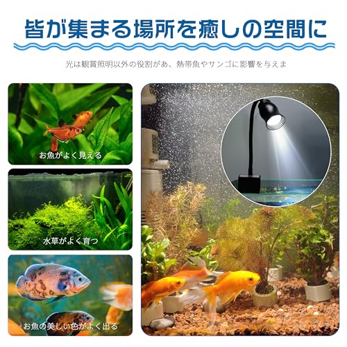 Aoikoy 水槽照明 ZHNMJ1 の商品画像 5