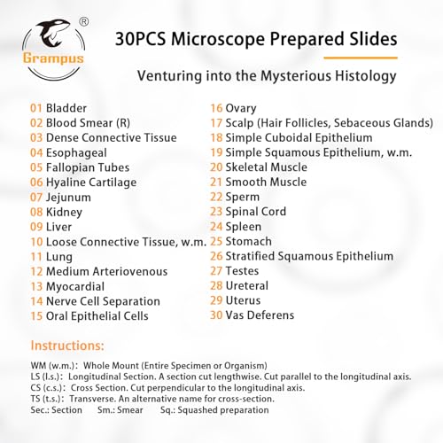 Image of 30 Prepared Microscope Slides with Specimens for Kids Students - Histology, for Biological Science Lab, Children's Science Education, Homeschooling Use