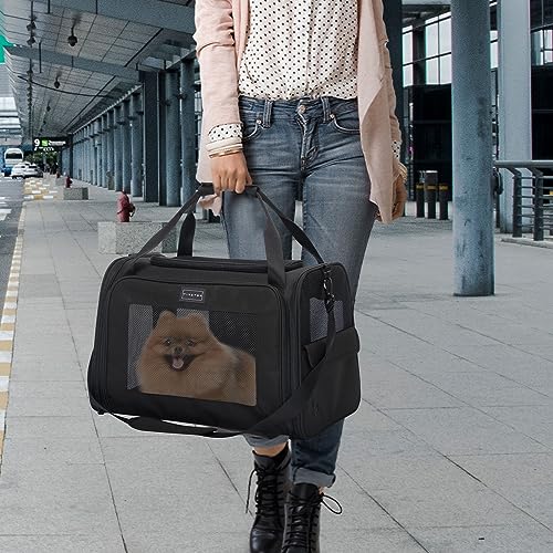 Petsfit Transportbox Katze Hund faltbar Transporttasche Hundetasche für Katzen Hunde, Hochwertige Tragetasche Hund Katze mit Schultergurt und weiches expandierbare Kissen, groß