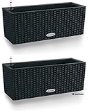 Lechuza Balconera Cottage 50, All-in-One Set, graphitschwarz, 2er-Set