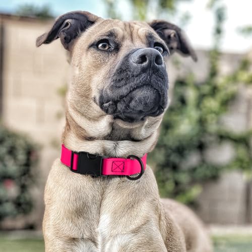 Image of Dogline Biothane Waterproof Dog Collar with Quick Release Buckle Strong Coated Nylon Webbing with Odor- Proof for Easy Care Easy to Clean Fits Small Medium or Large Dogs, Pink 1 inch W 15-23 inch L