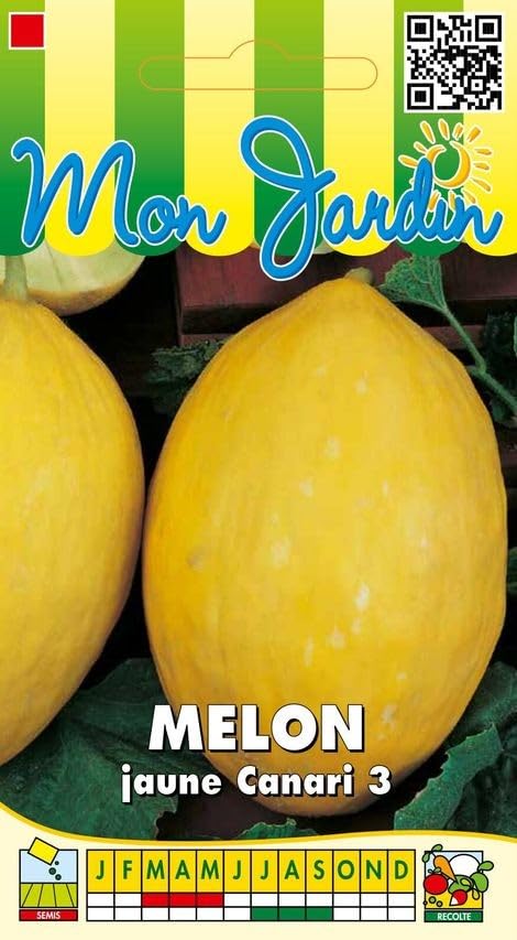 Sachet de graines de Melon Jaune des Canaries - 3 g - légume fruit - LES GRAINES BOCQUET