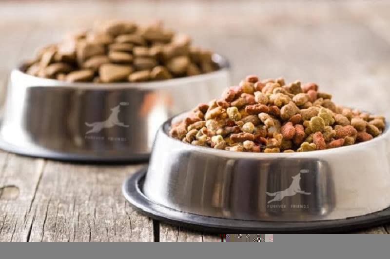 FUREVER FRIENDS Stainless Steel Dog Accessories, Dog Bowls with Anti-Skid Rubber Base Set of 700ml Pet Feeding Bowl for Dogs, Puppy Cat Kitten,Feed Water Wet Food (Pack of 2) (B0B2RD8LBS) Amazon Price History, Amazon Price Tracker