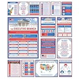 Wallbuddy US Government Educational Classroom Posters Set of 15 | Unframed Government Structure Civics & History Decor | American Teacher Must Have Classroom Essentials High School (12x16)