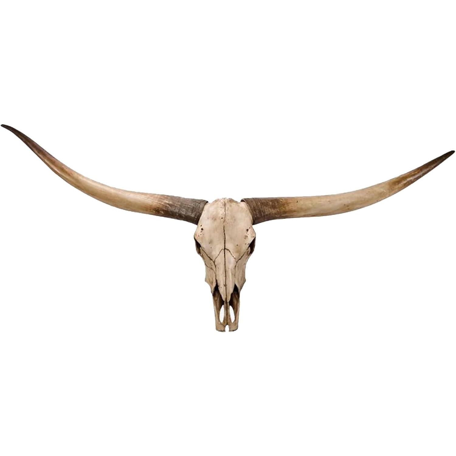 Kuh-Schädel-Wanddekoration, Longhorn-Schädel-Skulptur mit realistischen Hörnern, künstlicher Taxidermie, Stierkopf für rustikale Ranch-Wester-Thema, Wandbehang, Kunst, Braun