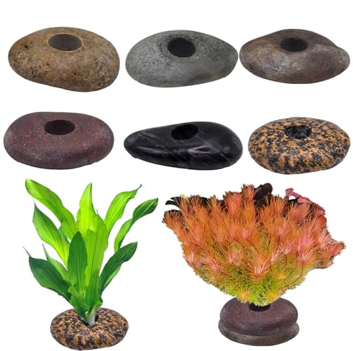 FAWAYSHAAN 6 Pcs Natural River Stone Plant Weights for Aquarium Handmade Pebble Anchors for Live Aquatic Plants Fish Tank Decorations Prevent Floating 6-8cm Large Flat Rock Weights