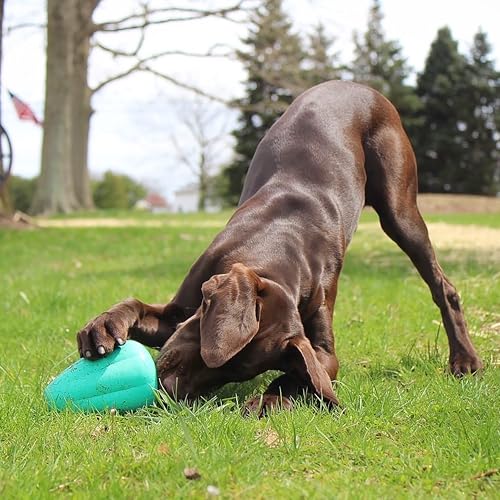 Chew King Premium Treat Hundespielzeug XL, extrem strapazierfähiges Naturkautschukspielzeug, 2 Stück, alle Rassengrößen