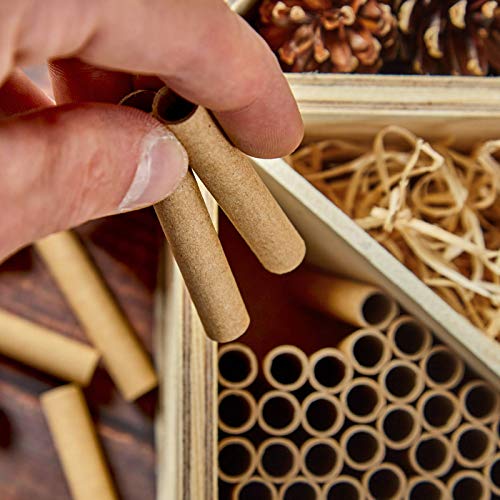 bambuswald© 100 Nisthülsen mit Ø 10mm | 15cm Länge für Wildbienen - 100% ökologische Pappröhrchen für Insektenhotel… – Bild 7