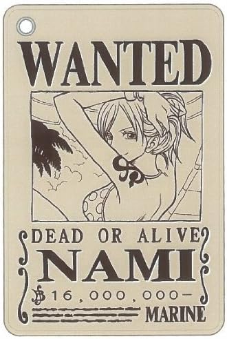 Amazon ワンピース パスケース ナミ アニメ 萌えグッズ 通販