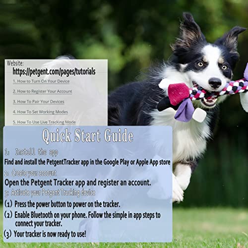 Petgent Upgraded 2Pcs Dog Gps Tracker For Pet Collar - Real Time Location & Activity Monitor - Longest Tracking Device - No Monthly Fee, App Control, Radio Signal For Suburban Camping Rural Hiking #TOP3