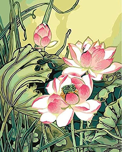 GEZHF DIY Digital Oil Painting Color según Números Digital Painting Kits Lotus Flower pintado a mano dibujos sobre lienzo al óleo DIY Home Decoration regalo -40 x 50 cm sin marco