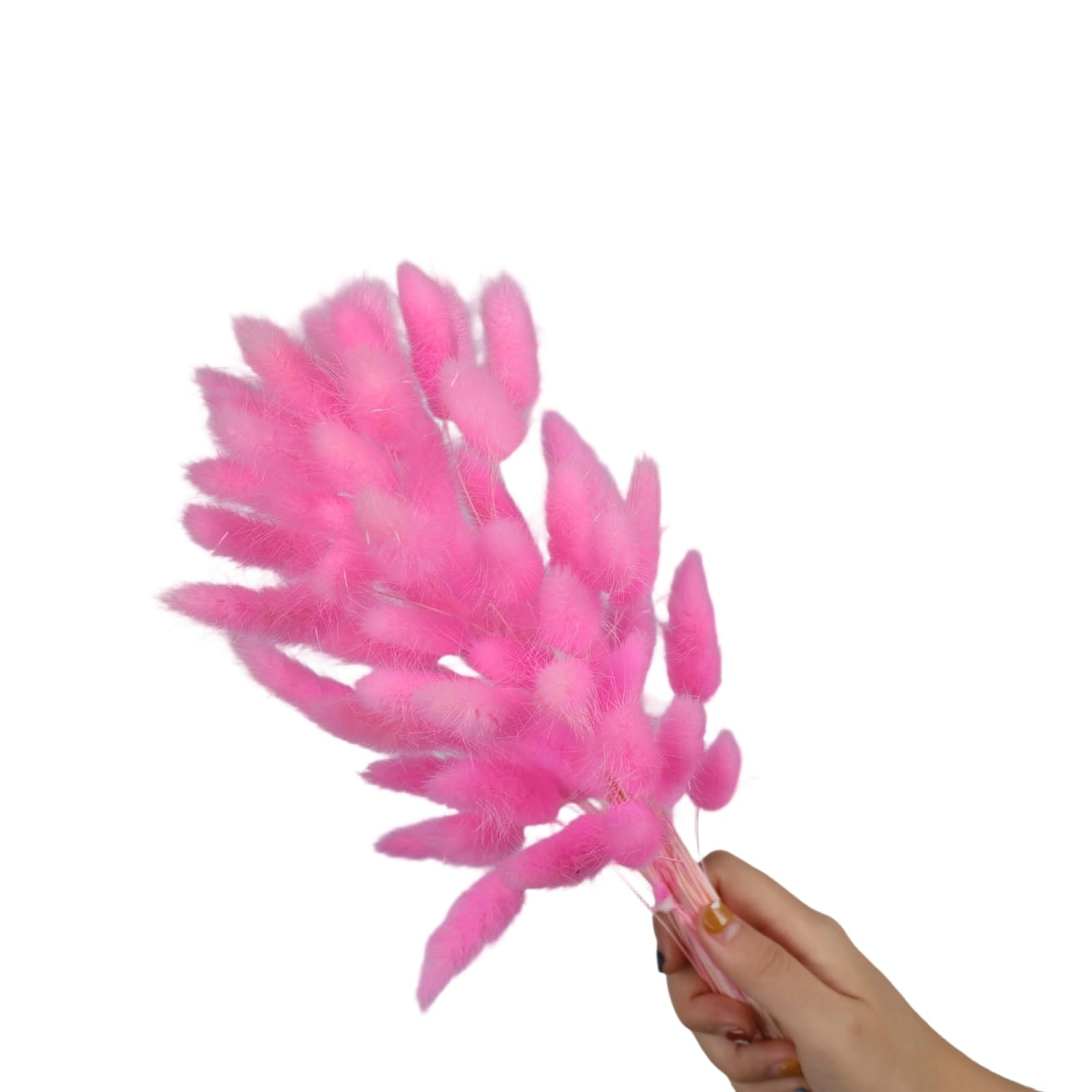 Tsophreniq 60Pcs Natural Hare Tails Dried Flower 23.6Inch Natural Dry Pampasgrass for Vase Arrangements Home Decoration Wedding Pet Safe Dried