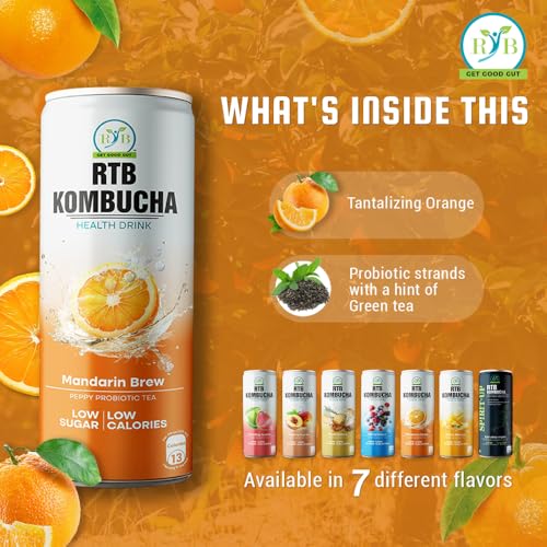 Image of RTB KOMBUCHA Health Orange Drink - Pack of 250ml | Helps in Immune System & Digestive System(Kombucha Culture, Fruit Pulp & Organic Sugar)