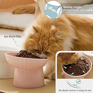 Omaykey65inchextrawideceramicraisedcatbowlsporcelaintiltedelevatedcatfoodwaterbowldishstressfreepetfeederdishesforcatssmalldogswhiskerfatiguewhitepink Urban Country Home Decor Omaykey 65 inch extra wide ceramic raised cat bowls porcelain tilted elevated cat food water bowl dish stress free pet feeder dishes for cats small dogs whisker fatigue white pink urban country home decor