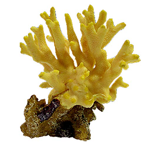 Nature's Image Replica Coral, Porites Cylindrica Yellow 3.5x5x5 Inch.  -NI-09D: Buy Online at Best Price in UAE - Amazon.ae