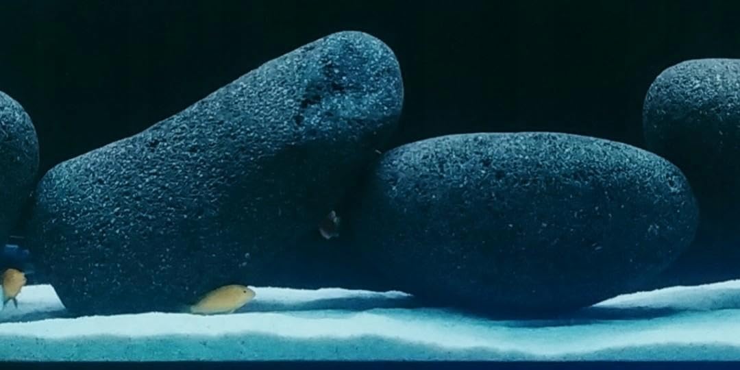 Lava Aquarium Steine 24 kg Aquascaping Deko