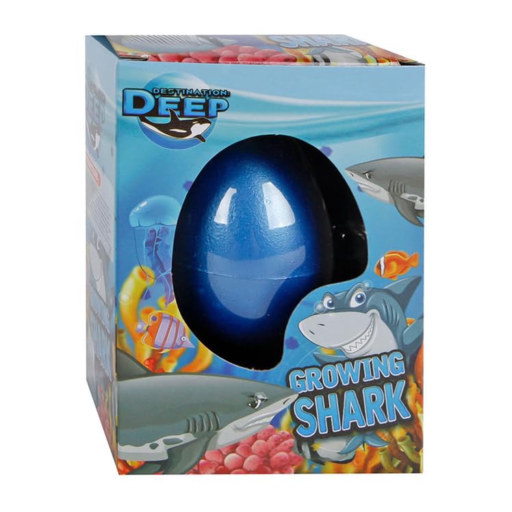 Shark Egg Small