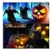 Halloween Haustier Kostüm,Haustier Fledermaus Kostüm,Halloween Hund kostüm, Katze Hund Fledermausflügel mit 2Pcs Pumpkin Bell,für Haustiere, Hunde und Katzen,Halloween Partys