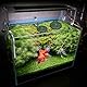 Tyqour 6 Stück Futterring Aquarium Schwimmende Pflanzenringe für Aquarien, Schwimmender Futterring Floating Plant Rings Schwarz Futterspender zu Halten Oder Trennen Schwimmpflanzen Aquarium Pflanzen