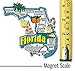 Florida Jumbo State Magnet by Classic Magnets, 4