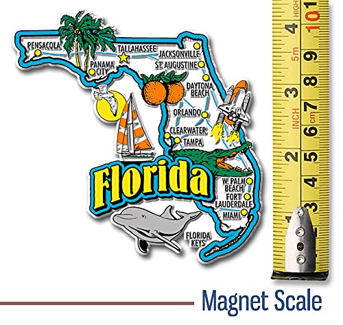 Imán decorativo Jumbo Estado Florida 4 x 4 pulgadas miniatura 2