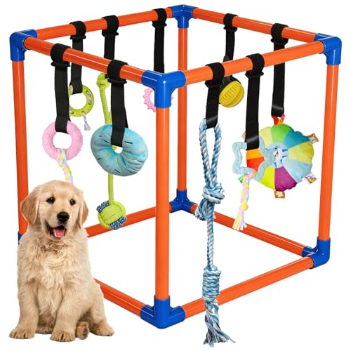 Flickzy Puppy Play Gym with 9 Hanging Toys for Small Dogs PVC Frame with Bungee Straps Interactive Indoor Jungle Playground for Entertainment Teething and Mental Stimulation
