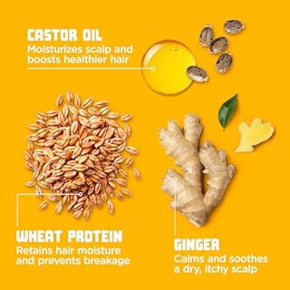 Carol's Daughter Goddess Strength Repairing Cocoon Hydrating Mask for Dry, Damaged Curly Hair, Restores Moisture, Treatment with Castor Oil, 340 g