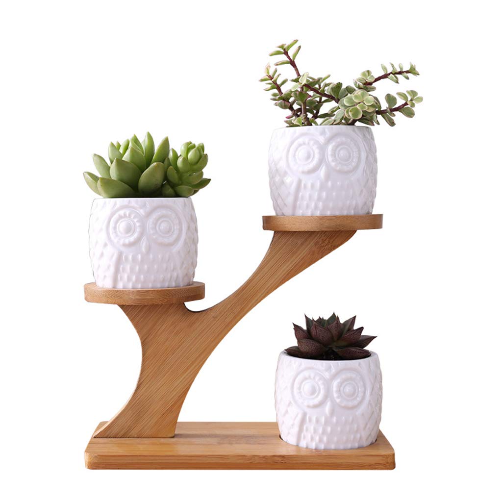 HZGFNBZ Owl Pot Cactus Planter Flowerpot Set with Shelf Tray Decor Flower Pots Outdoor Large
