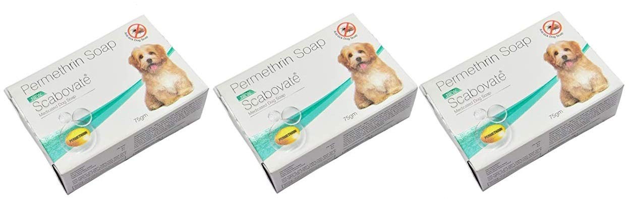 permethrin soap for dogs