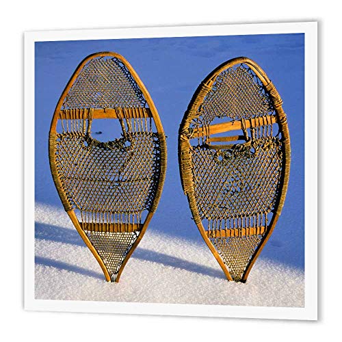 3dRose ht_91588_3 Snow Shoes, Subarctic & Arctic Peoples US27 AWY0054 Angel Wynn Iron on Heat Transfer Paper for White Material, 10 by 10"