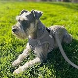 Joytale Hundegeschirr Kleine Hunde, Reflektierend Weich Gepolstert Geschirr, Air-Mesh Brustgeschirr Hund Klein, S, Grau