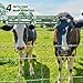 Livestock Fence, 4ft X 164ft Galvanized Wire Field Wire Fencing, Cattle Fence, Deer Fence, Heavy Zinc Coating Farm Fence Used to Hog Goat Fencing for Yard and Field Hog Horse