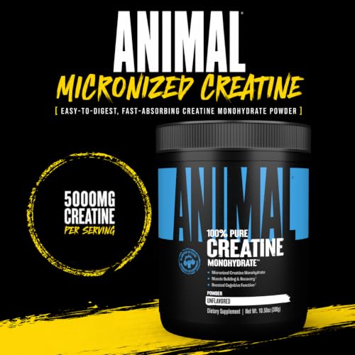 Image of Animal Creatine Monohydrate Powder - Micronized Creatine for Women and Men, Supports Muscle Growth, Strength, Endurance, Recovery and ATP Production, Gym & Workout Supplements - Unflavored, 500g