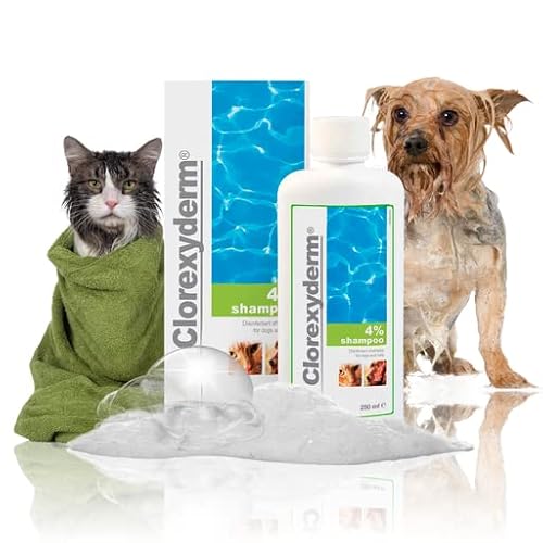 Clorexyderm 4 Shampoo for Dogs & Cats Dry Itchy Skin Relief