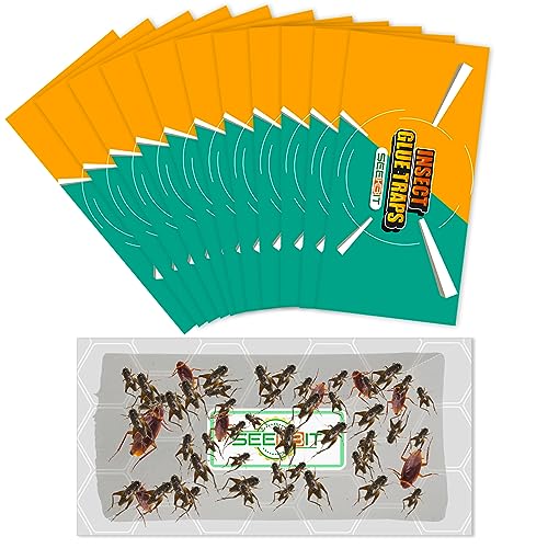 TreeHelp Gypsy Moth Replacement Lure