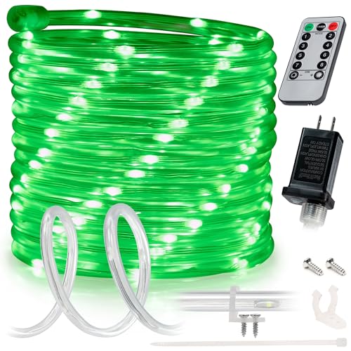 WYZworks 10ft Green LED Rope Light - 8 Modes, Waterproof Outdoor Accent Lighting with Remote, Flexible Clear Tube, ETL Certified, Garden, Patio, Backyard, Holiday Christmas, Tree, Ambient Decor