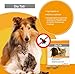 DIA TAB Kautabletten f.Hunde/Katzen 6X5.5 g