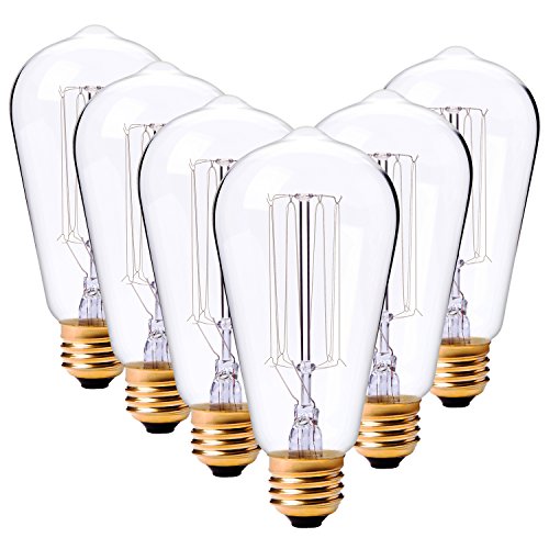 Edison Bulbs 60W Vintage Style Squirrel Cage Filament Incandescent Bulb E26 Base ST64 120V for Home Lighting Fixtures Lamp Lightbulbs Warm Light Dim 2700K 6PACK