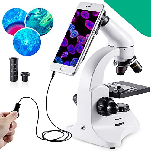 BEBANG 200X-2000X Microscope, All-Metal Optical Glass Lenses, Coarse and Fine Focusing, 25X Widefield Eyepiece and Complete Accessories Kit